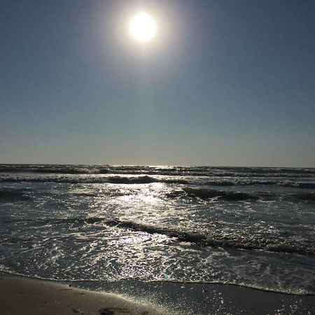 那沃达利Mamaia Nord公寓 外观 照片